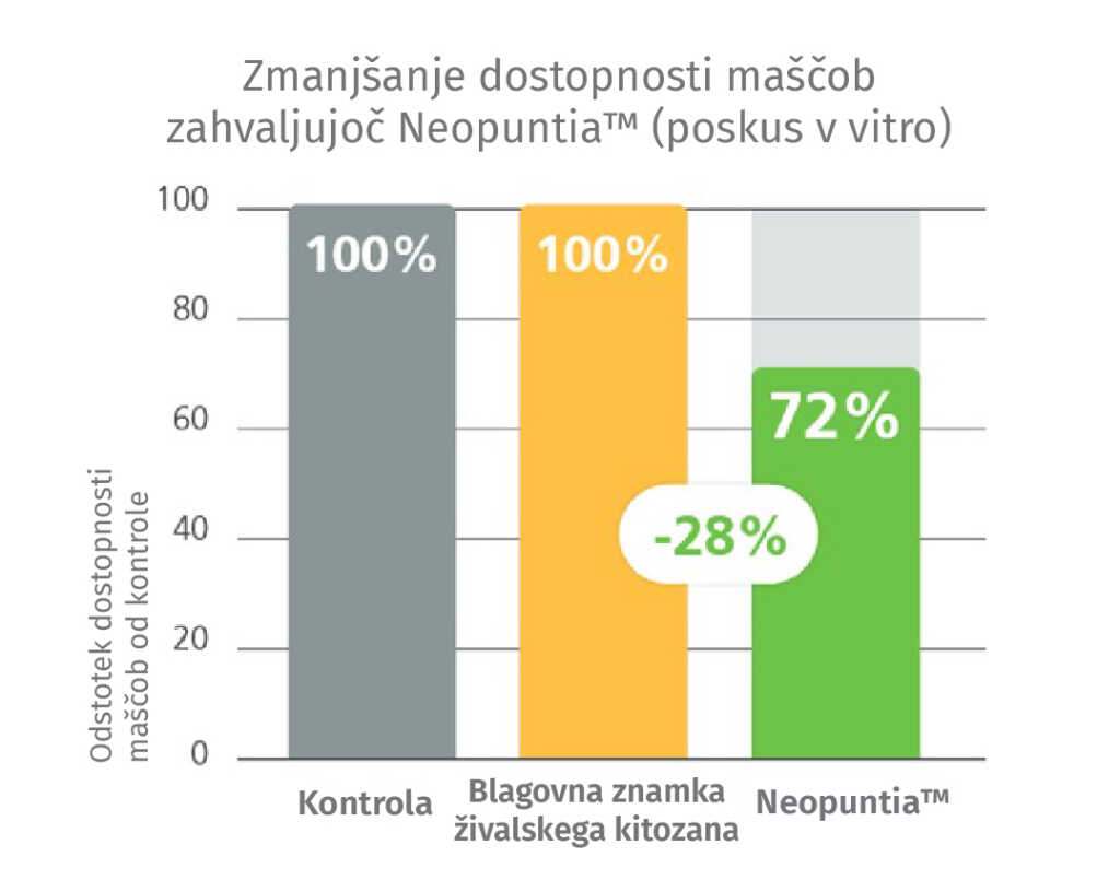 Slika možnosti izdelka